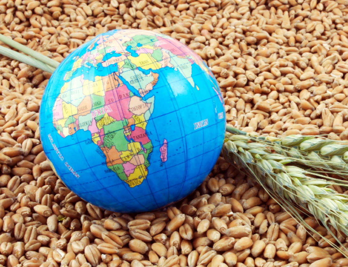 Грядет ли глобальный продовольственный кризис и как он повлияет на страны  СНГ?