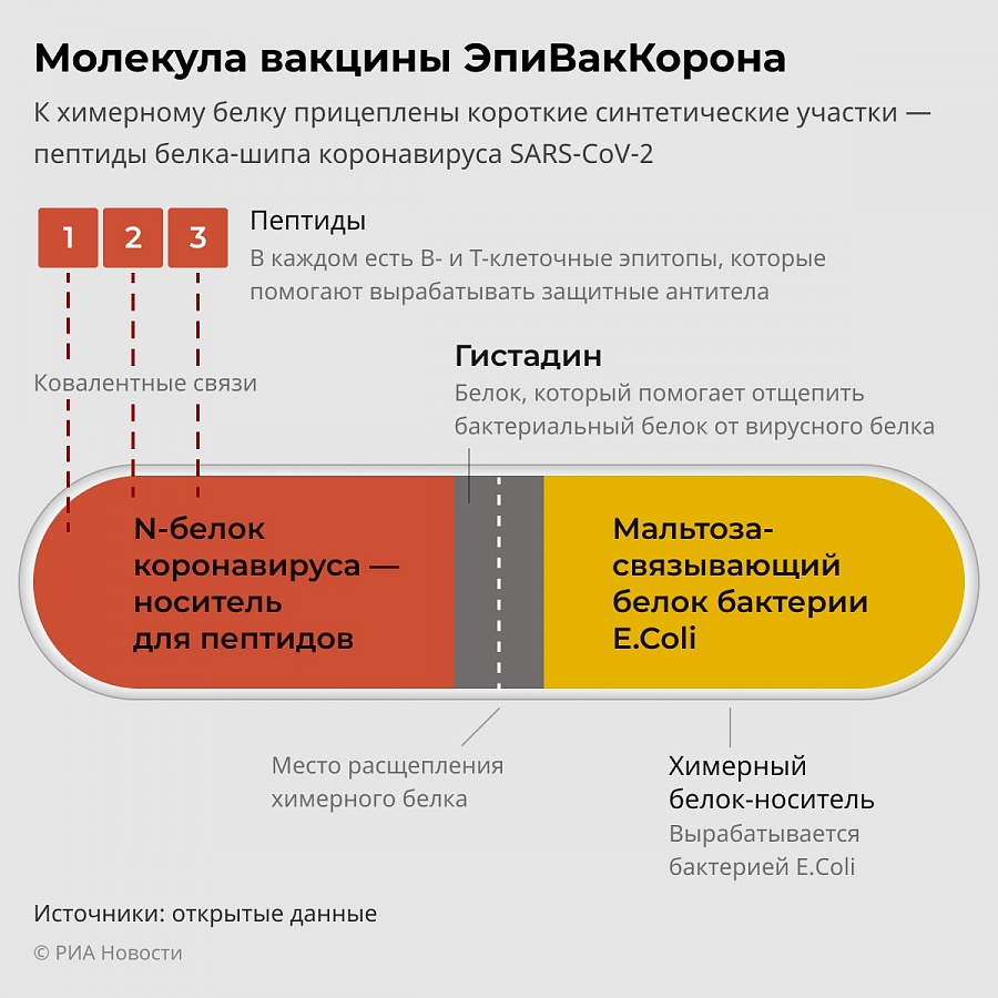 ЭпиВакКорона». Чем вакцина от COVID-19 Центра «Вектор» лучше остальных